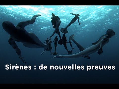 Vidéo: Est-ce que les sirènes ou les tritons ?