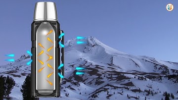 Thermos® Vacuum Insulation - How Premium Branded Drinkware Keeps Liquids Hot or Cold