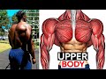 Full upper body workout routine