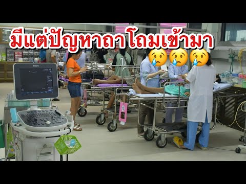 วีดีโอ: Screwworms Outbreak ในฟลอริดา: สิ่งที่ผู้ปกครองสัตว์เลี้ยงต้องรู้