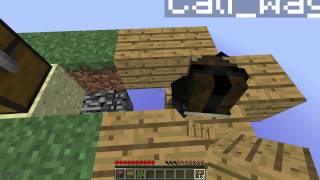 Minecorp | Skyblock Tutorial | Minecraft Towny Server