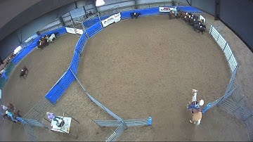 Big Sky Ranch Sorting Saddle Series #6 - #3 - Round #1 - Ride #10