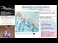 Pathogenesis of Shigella infection - Philippe Sansonetti Mp3 Song