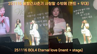251116       bol4 eternallove  wildandfree