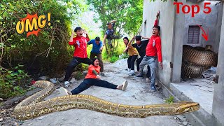 Top 5 Times Experts Used High-Tech Detectors to Rescue Girls from Giant Anaconda Attacks