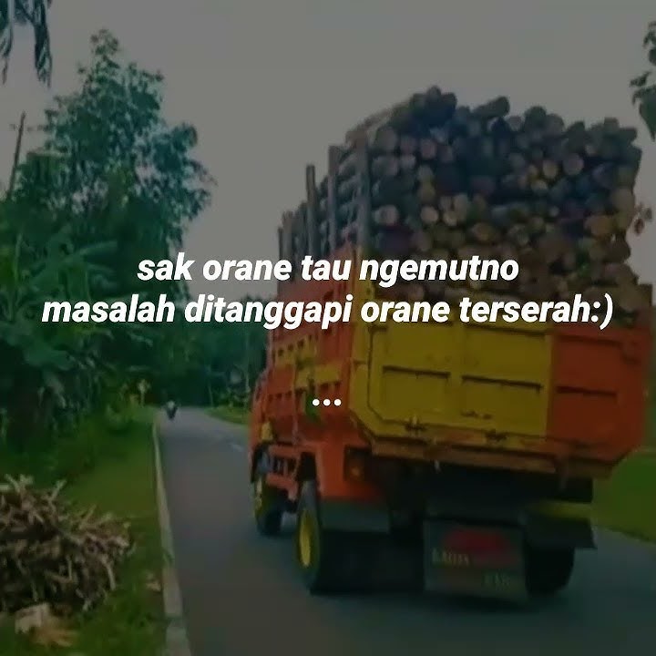 STORY WA DAM OLENG || 30 DETIK