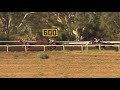 View race 7 video for 2019-03-30