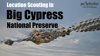 Landscape Photography: Location Scouting in Big Cypress National Preserve | Sony A7RIII