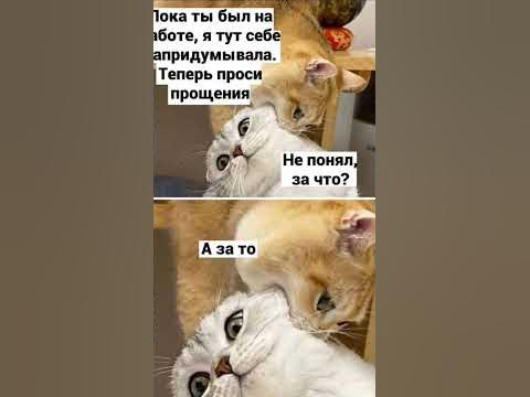 мем #1 - YouTube