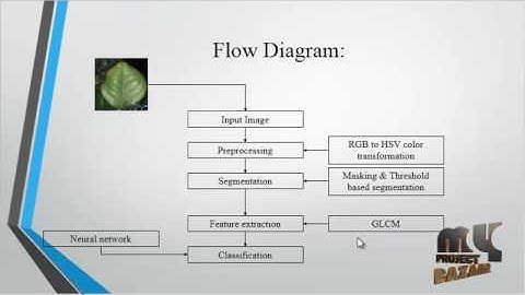 Identification of Leaf Diseases in Pepper Plants-Soft Computing | Final Year Projects 2016 - 2017