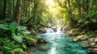 Natural River Flow with Birdsong | Peaceful Woodland Sounds for Deep Sleep & Meditation