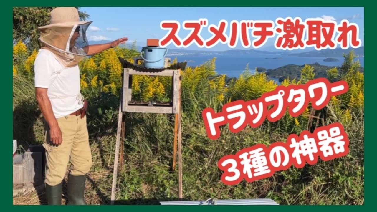 スズメバチ・トラップタワーと3種の神器　冬越し支度