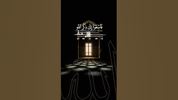 📖 سورة الجمعة .. نورٌ وهدى            # جمعة _ مباركة