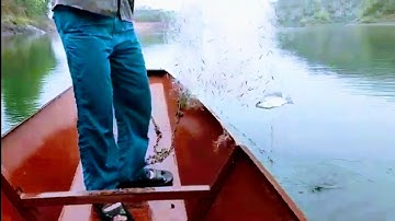 Thả lưới bắt cá trên hồ cấm Sơn