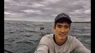 Great white shark hits my kayak out the water!
