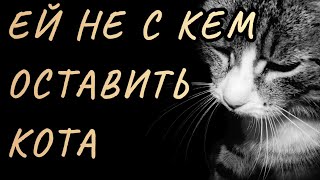 Очень Трогательно 💖 «Ей Не С Кем Оставить Кота» Вера Бутко