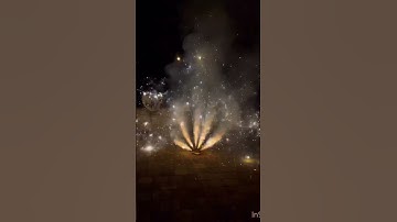 Golden peacock from Mothers brand #fireworks #diwali #diwali2024 #crackers #sivakasi #shorts