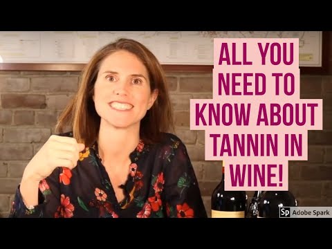 Mastering Wine: What are Tannins in Wine?