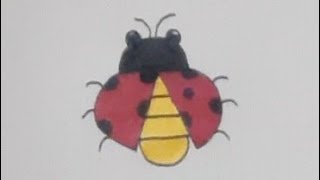 A Harf İle Kolay Uğur Böceği̇ Çi̇zi̇mi̇