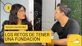 03. Refugio para gatos | Sandra Hernández: Cómo operar una fundación sin morir en el intento