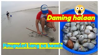 Digging and catching clams | Halaan sa beach bago magpandemic | Kuya Ferds