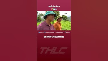 Gia hội nỗ lực giảm nghèo | THLC