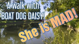 Canal side walk with BOAT DOG Daisy - Funny dog videos? Check this out, she is CRAZY for sticks!