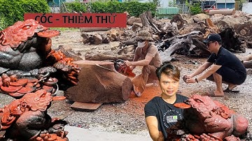 Thiềm thừ cóc gỗ trắc Đỉnh cao điêu khắc gỗ