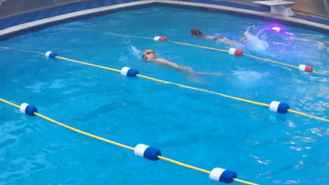 Weekly Swim Lessons - Weekly Swim Lessons
