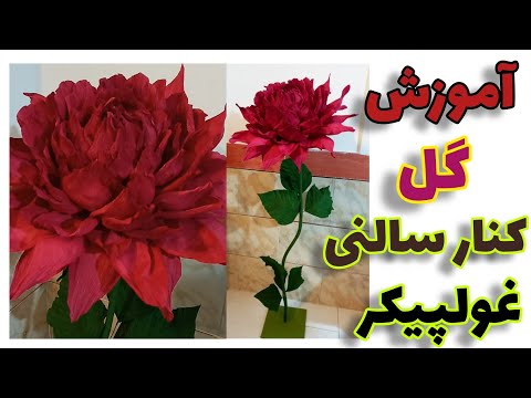 تصویری: گلهای مجعد. Ipomoea: توضیحات، کاشت و مراقبت (عکس)