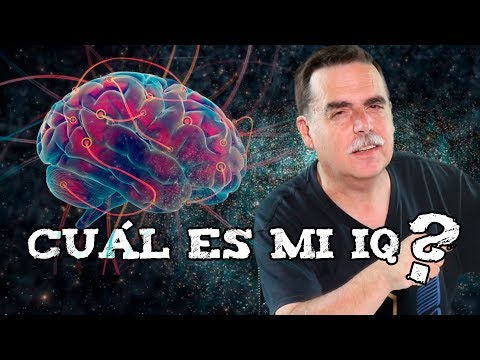 ¿Mi IQ dice qué tan inteligente soy? - Viernes de Morsa