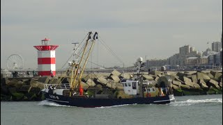 Hollandse Garnalenkotters Scheveningen 27-10- 2022