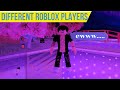 5 different roblox players