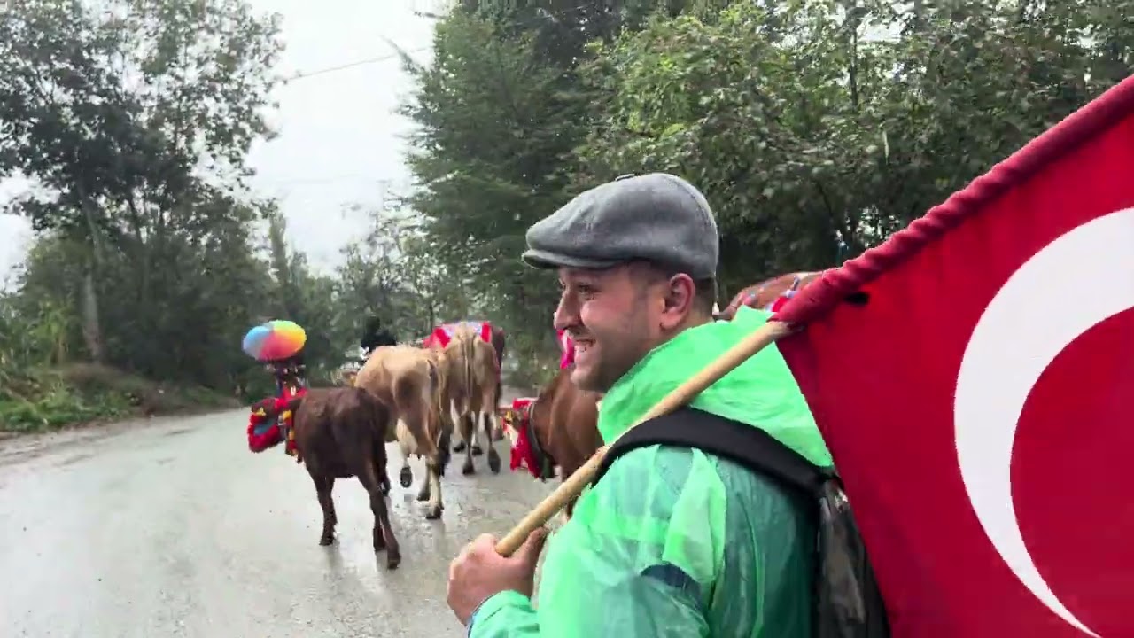 Yayla'dan Köye Hayvan Göçünün Geri Dönmesi Çayırbağı Köyü/Düzköy/Trabzon