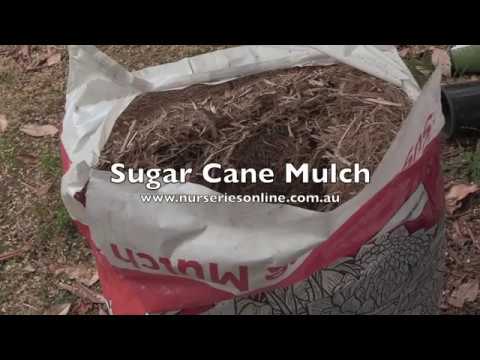 Organic Sugar Cane Mulch: Boost Your Garden Naturally