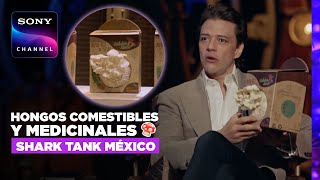 Shark Tank Mexico: Garden Kuuts, edible mushrooms and more | Sony Channel Shark Tank Mexico: Garden Kuuts, edible mushrooms and more | Sony Channel
