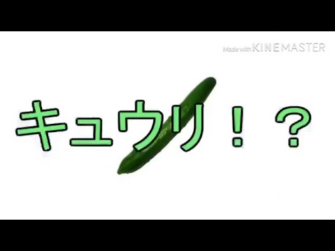 世界寿命と最後の一日    詩人  アンダーバー合わせてみた