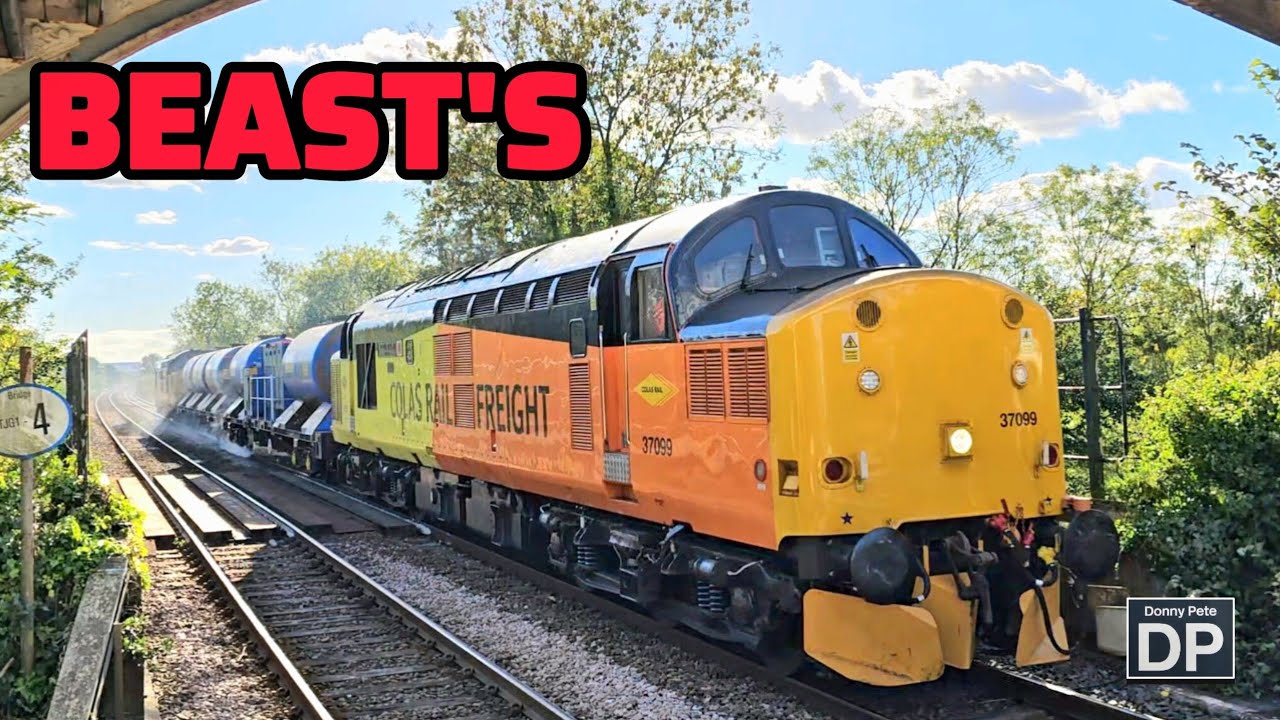 I managed a few days Gricing. And the hare's were a running 