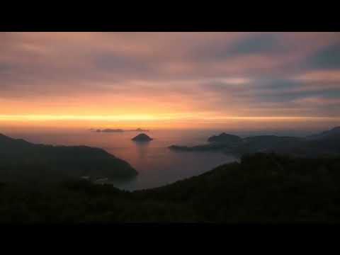      شجریان رهایم نکن