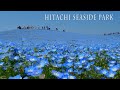 HITACHI SEASIDE PARK 2021 Spring.#ひたち海浜公園 #4K