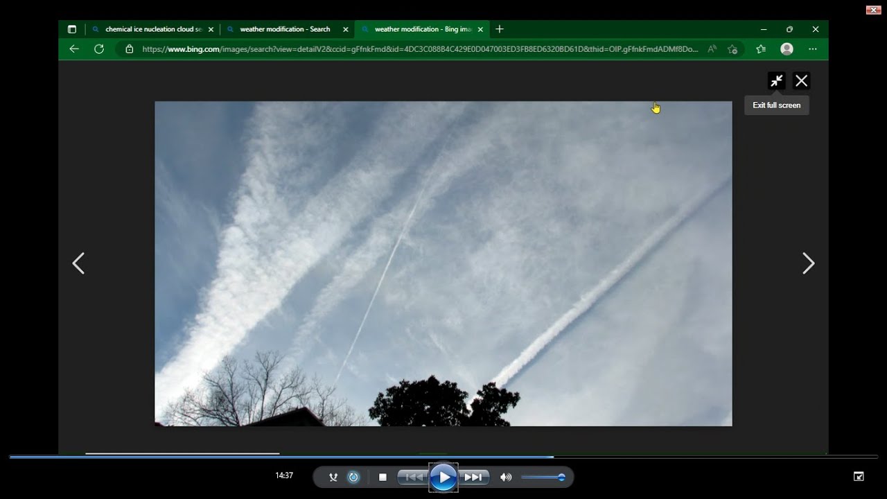 ALL UNGODLINESS AND THE UNGODLY WILL PERISH.