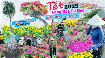 Làng hoa sa đéc 2025 lộ nhiều kiểng độc lạ báo giá tết Ất Tỵ nhiều người về xem