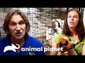 Dr. Jeff visita animales afectados por el huracán Harvey | Dr. Jeff, Veterinario | Animal Planet