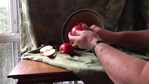 STILL LIFE