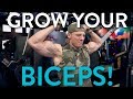 Quick Easy Tips to Get Bigger Biceps