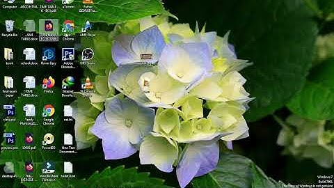 STD 4 / COMPUTER / 2. MORE ABOUT WINDOWS / AMIT PARMAR