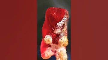 Burning a Gummy Bear in Macro Until It Melts – Visual Fire ASMR 🔥🐻 #FYP #ForYouPage #macro #bear