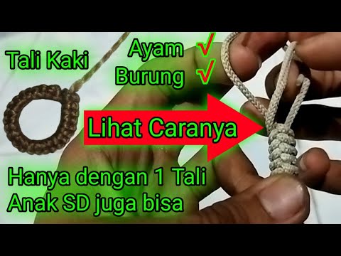 Cara Membuat Tali Kaki Ayam / Tali Kaki Burung Pikat || how to make chicken and bird leg ropes