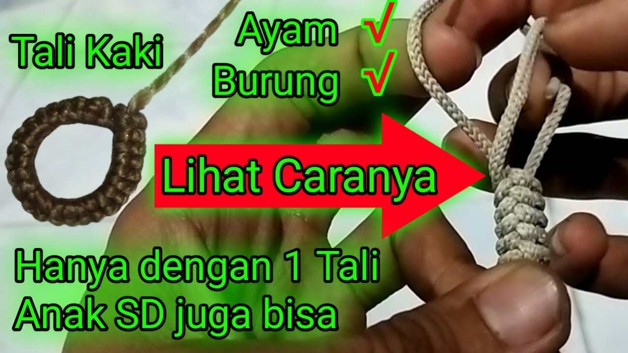 Cara Membuat Tali Kaki Ayam / Tali Kaki Burung Pikat || how to make chicken and bird leg ropes