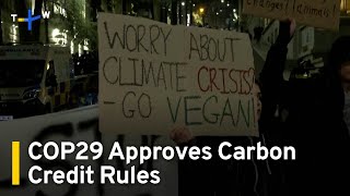 Celebrity COP29 Members Approve Carbon Credit Rules on Day One of Conference|TaiwanPlus News Net Worth